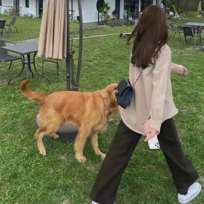 大侦探波洛第七季